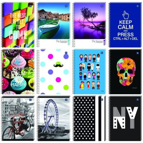 KOŁOZESZYT A4 LINIE 100K