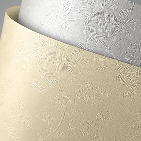 KARTON OZDOBNY A4/220g FLORAL DIAMENTOWA BIEL (20)