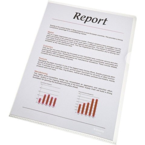 OFERTÓWKI ESSELTE "L" A4/85µm GROSZKOWE (100)
