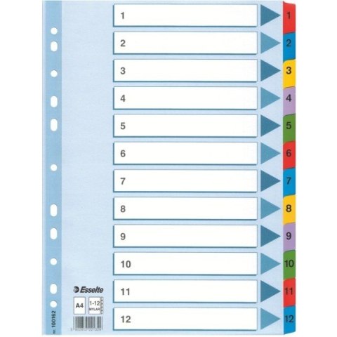 PRZEKŁADKI MYLAR ESSELTE A4 1-12