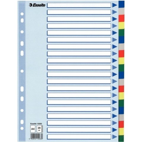 PRZEKŁADKI PP ESSELTE A4 INDEX 20 KOLORÓW