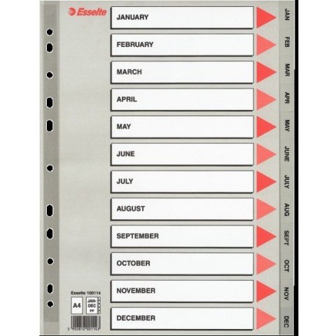 PRZEKŁADKI PP ESSELTE A4 12 MIESIĘCY