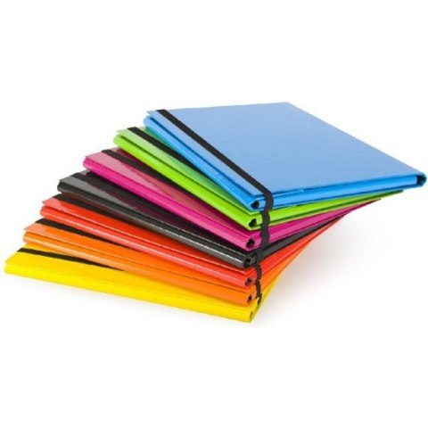 TECZKA KARTONOWA Z GUMKĄ A4/20mm ŻÓŁTA