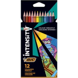 Kredki ołówkowe BiC Color Up! 12 kolorów