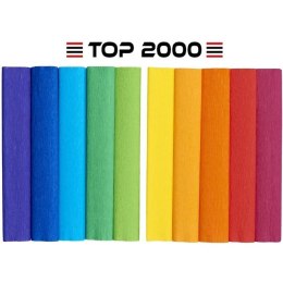Bibuła marszczona Top 2000 Creatino 25x200cm mix tęczowy (10)