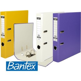 Segregator Bantex Budget Classic A4/50mm żółty