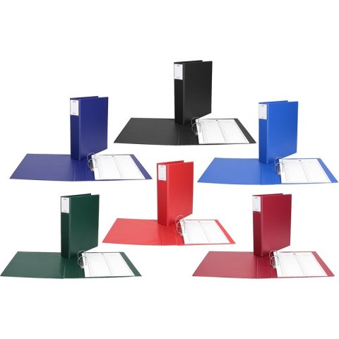 Segregator do akt osobowych Biurfol A4/5.5cm 2R bo